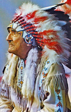 Image result for chief red fox